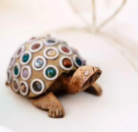 Sea Turtle * 卡亚俄萨尔瓦赫