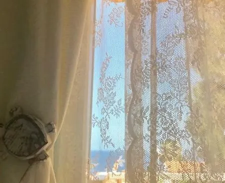 Sea Turtle 卡亚俄萨尔瓦赫