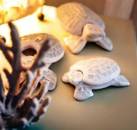 度假居 Sea Turtle 卡亚俄萨尔瓦赫
